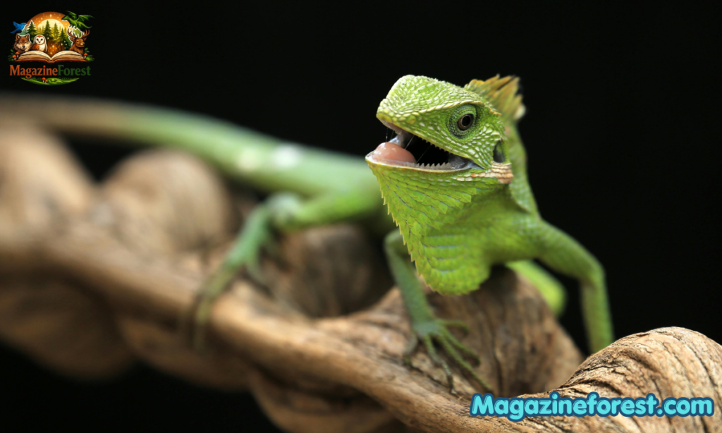 Cool Names for Lizard