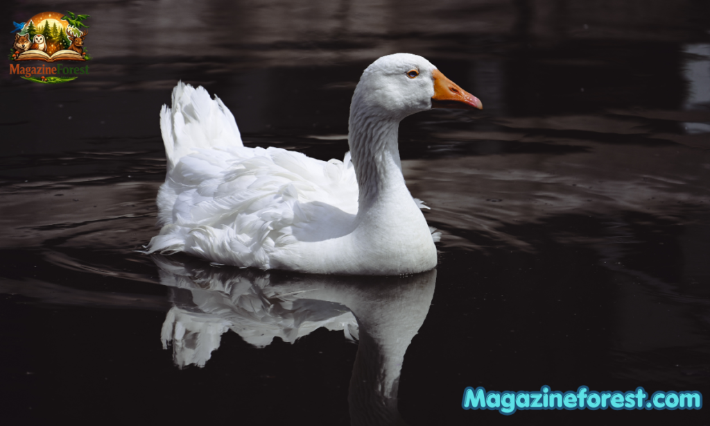 Famous Goose Names