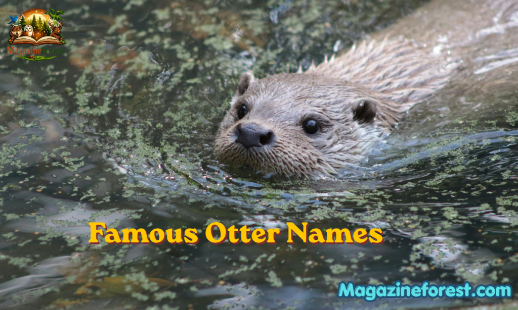 Famous Otter Names