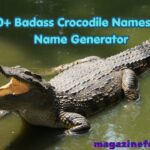 300+ Badass Crocodile Names With Name Generator