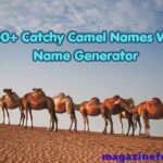 300+ Catchy Camel Names With Name Generator