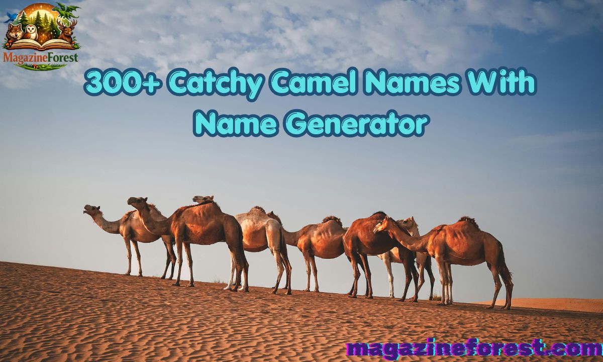 300+ Catchy Camel Names With Name Generator