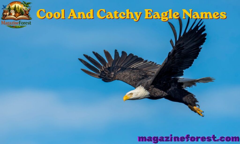 750+ Cool And Catchy Eagle Names With Name Generator