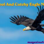 750+ Cool And Catchy Eagle Names With Name Generator