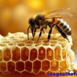 750+ Cute And Catchy Bee Names With Name Generator 🐝🍯