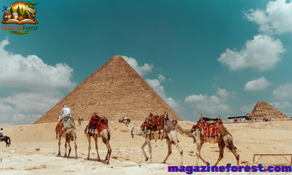 Arabic Camel Names
