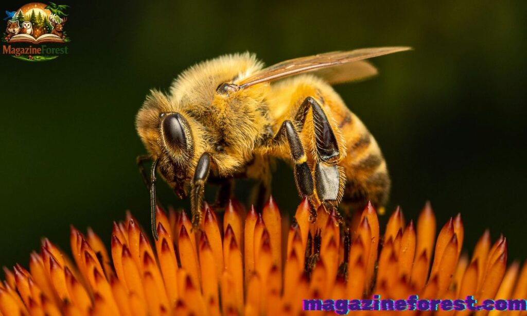 Female Bee Names