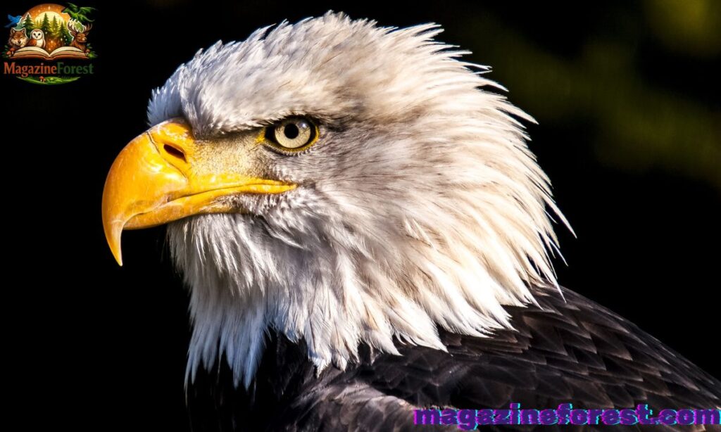 Food-Inspired Eagle Names