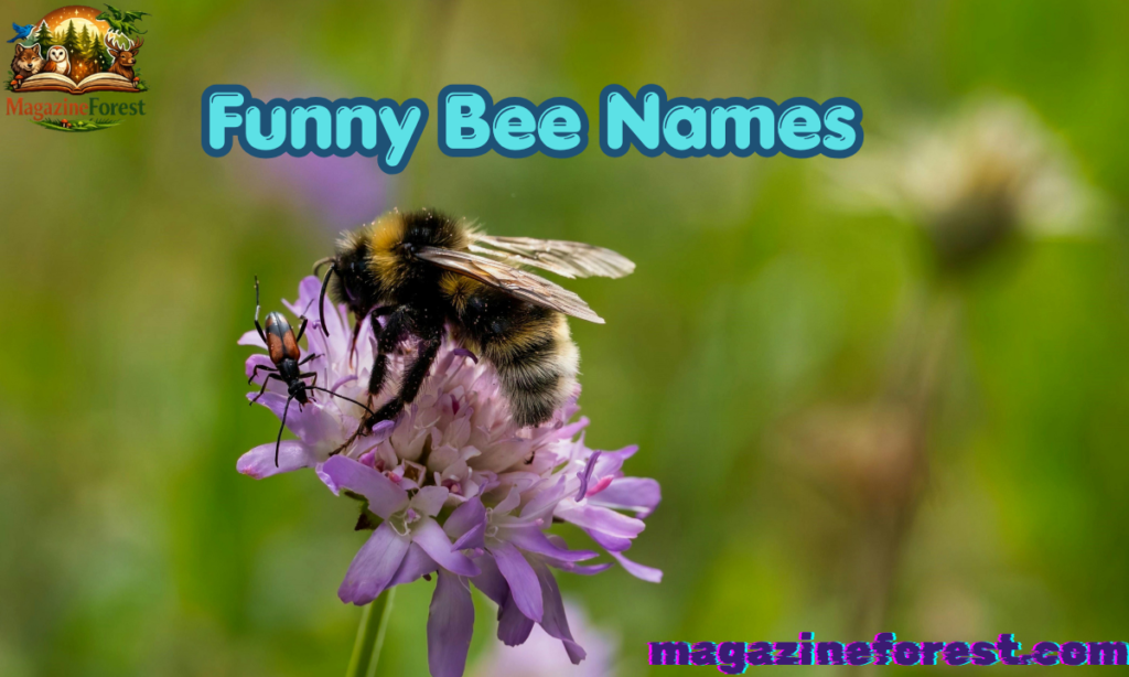 Funny Bee Names