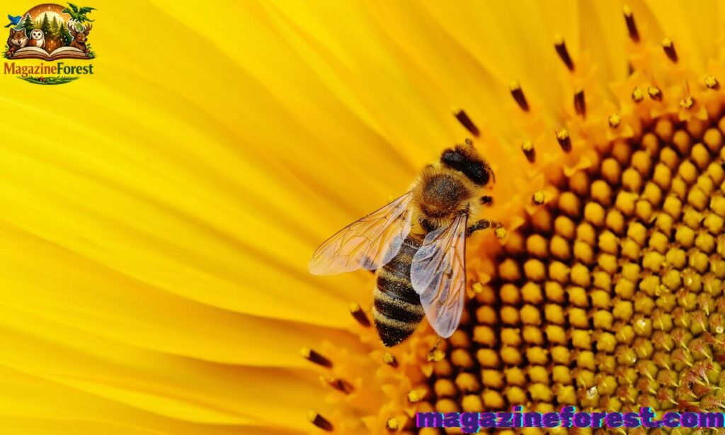 Nature-Inspired Bee Names
