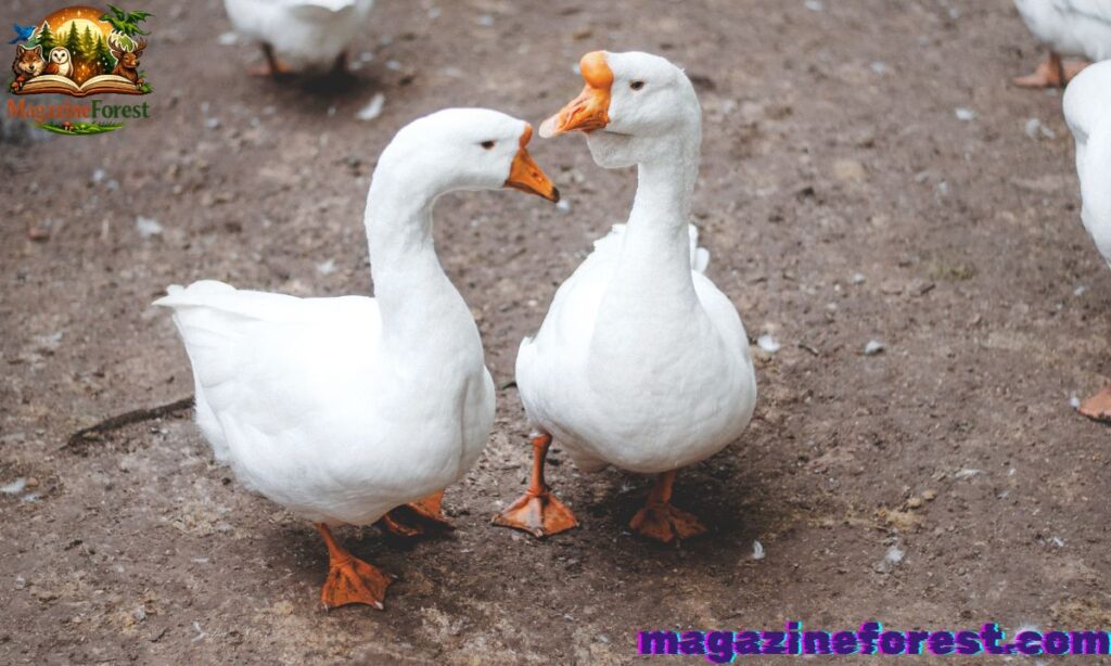 🪄 Mythical & Fantasy Duck Names 